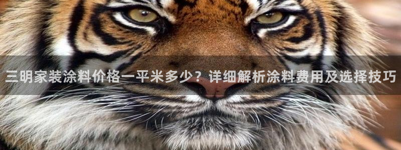 和记国际官网官网