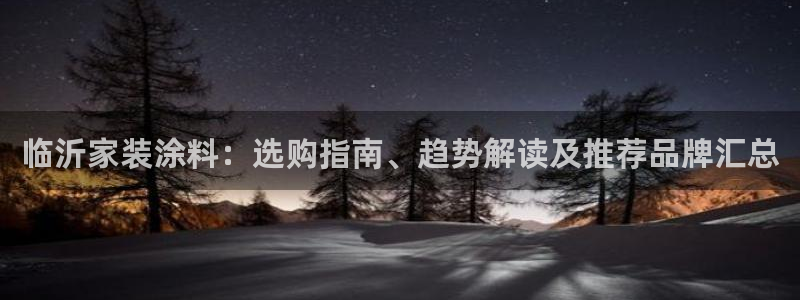 和记电业集团