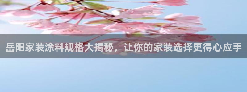 和记国际官网官网：岳阳家装涂料规格大揭秘，让你的家装选择更得心应手