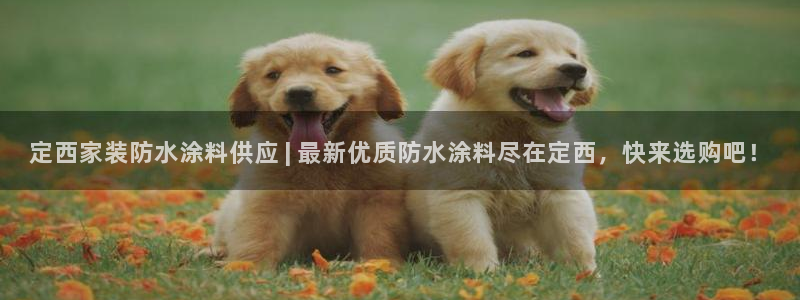 江苏和记数码科技有限公司