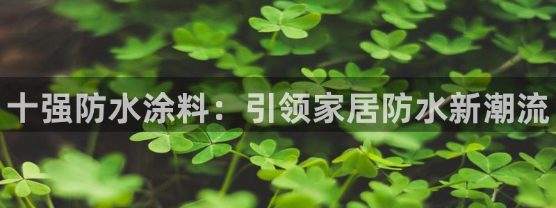 和记国际开户网站