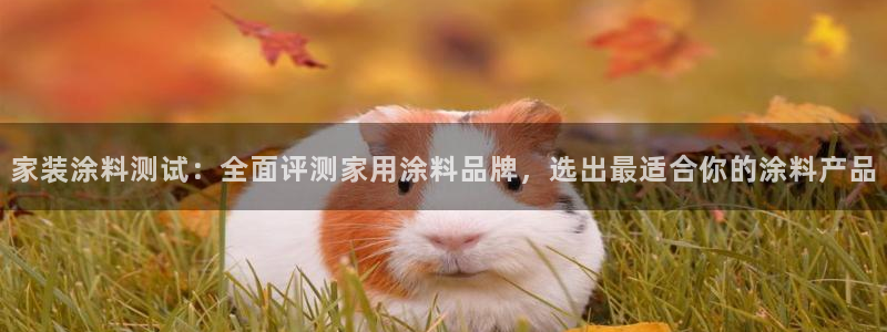 和记国际开户