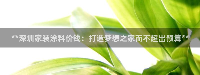 和记5g电讯：**深圳家装涂料价钱：打造梦想之家而不超出预算**