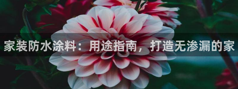 和记平台登录
