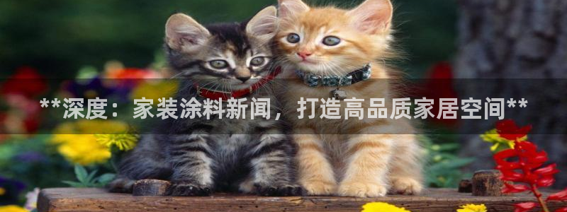 和记官方平台：**深度：家装涂料新闻，打造高品质家居空间**
