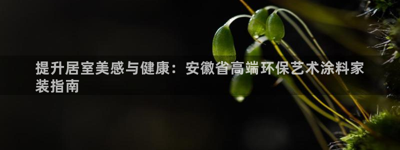和记app官网登录：提升居室美感与健康：安徽省高端环保艺术涂