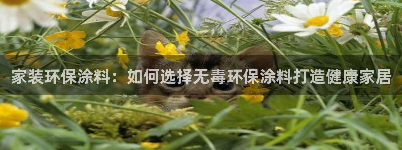 和记网页版登陆