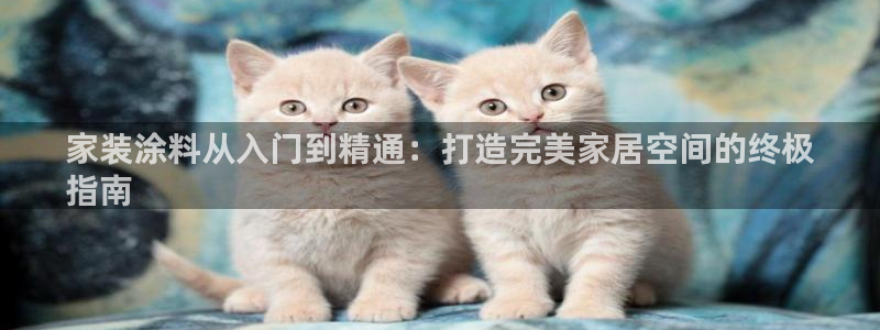 和记国际电讯市值：家装涂料从入门到精通：打造完美家居空间的终极
指南