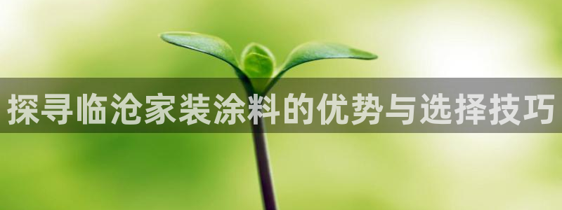 和记ag旗舰国际：探寻临沧家装涂料的优势与选择技巧