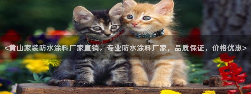 和记app官网登录：<黄山家装防水涂料厂家直销，专业防水涂料厂家，品质保证，价格优惠>