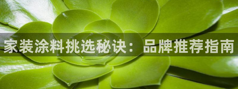 和记ag旗舰厅：家装涂料挑选秘诀：品牌推荐指南