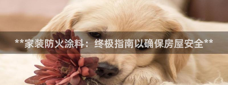 下载和记app：**家装防火涂料：终极指南以确保房屋安全**