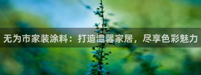 和记平台注册：无为市家装涂料：打造温馨家居，尽享色彩魅力
