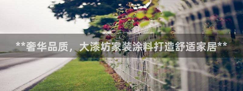和记官方平台：**奢华品质，大漆坊家装涂料打造舒适家居**