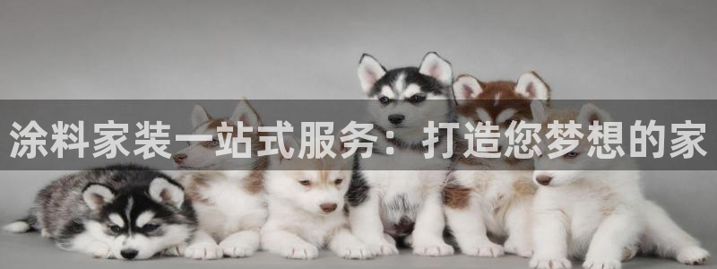 和记h188：涂料家装一站式服务：打造您梦想的家