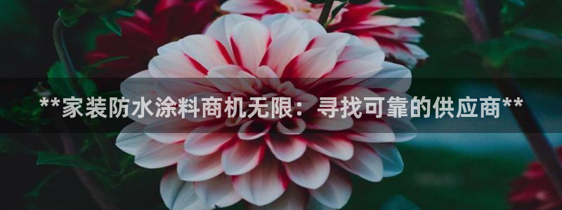 和记平台官网：**家装防水涂料商机无限：寻找可靠的供应商**