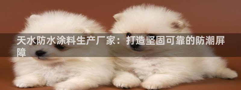 和记官方网址：天水防水涂料生产厂家：打造坚固可靠的防潮屏
障