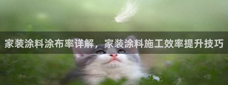和记平台：家装涂料涂布率详解，家装涂料施工效率提升技巧