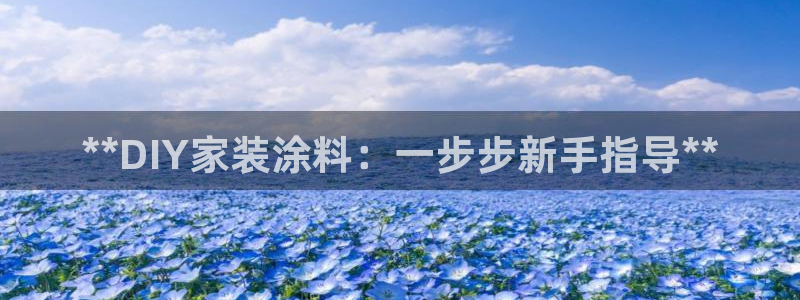 和记登陆：**DIY家装涂料：一步步新手指导**