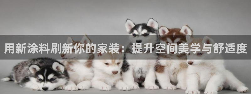 和记paging：用新涂料刷新你的家装：提升空间美学与舒适度