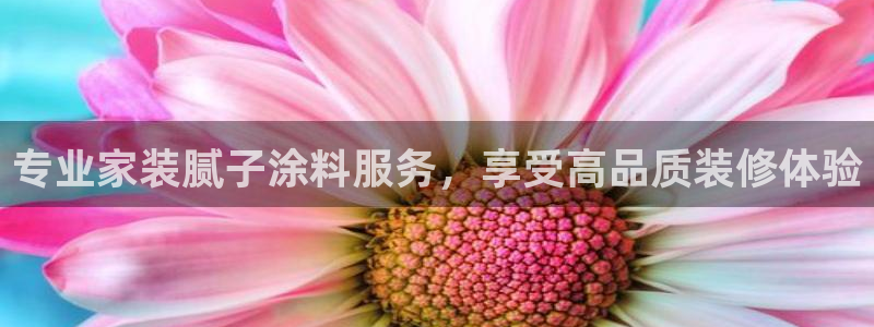 和记官网登陆：专业家装腻子涂料服务，享受高品质装修体验