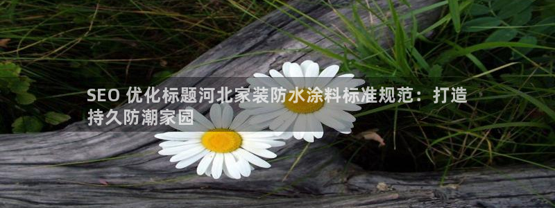和记官网 公司：SEO 优化标题河北家装防水涂料标准规范：打造
持久防潮家园