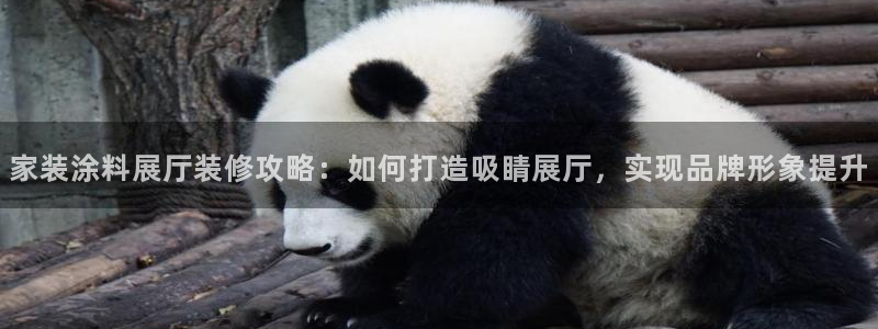 和记app官网：家装涂料展厅装修攻略：如何打造吸睛展厅，实现品牌形象提升