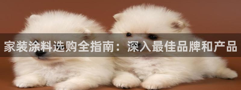 和记国际开户网站：家装涂料选购全指南：深入最佳品牌和产品