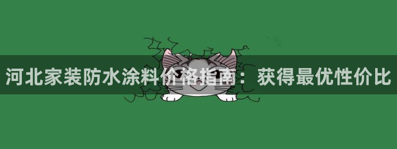 和记国际听：河北家装防水涂料价格指南：获得最优性价比